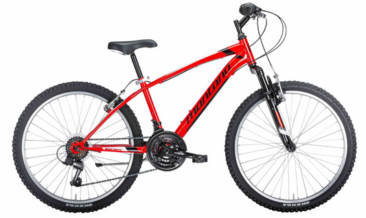 BICI BICICLETTA MTB MONTANA ESCAPE 24'' UOMO 18 VELOCITA'