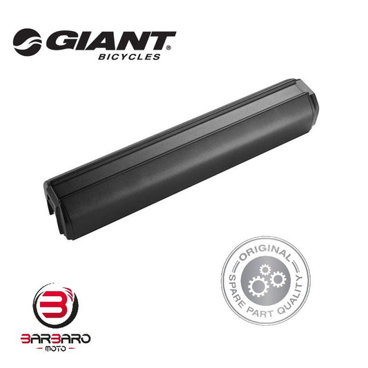 Giant EnergyPak Smart 800 Wh lithium battery